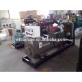 hot sale ricardo r6105azld diesel generator 100 kw for sale